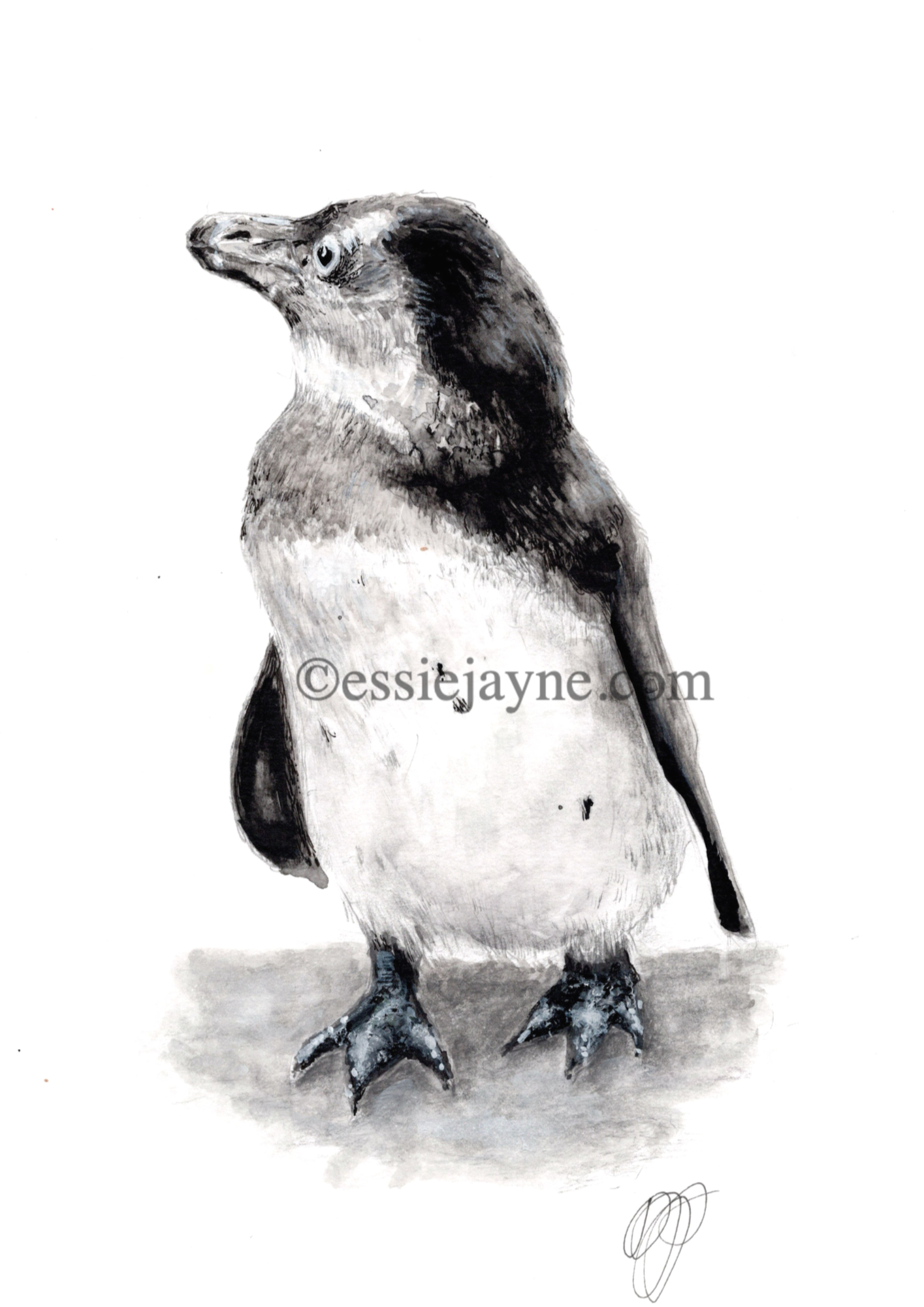 Penguin.png
