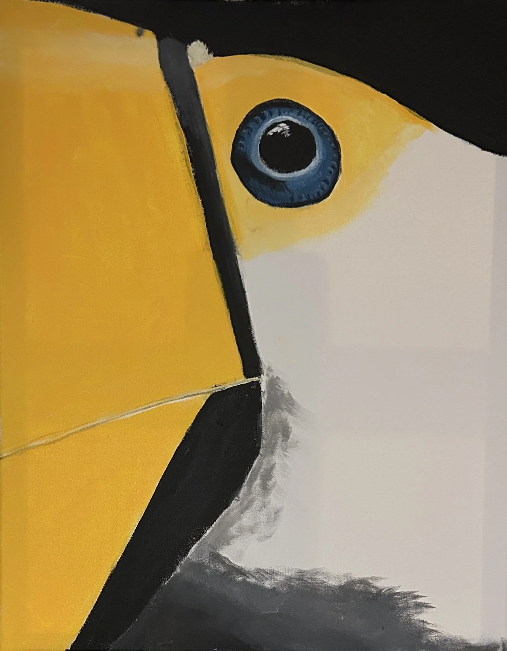 "Toucan", Acrylic on canvas, 16" x 20", $125