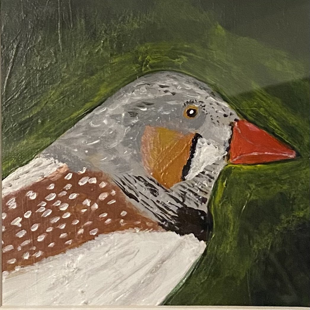 Orange Beak