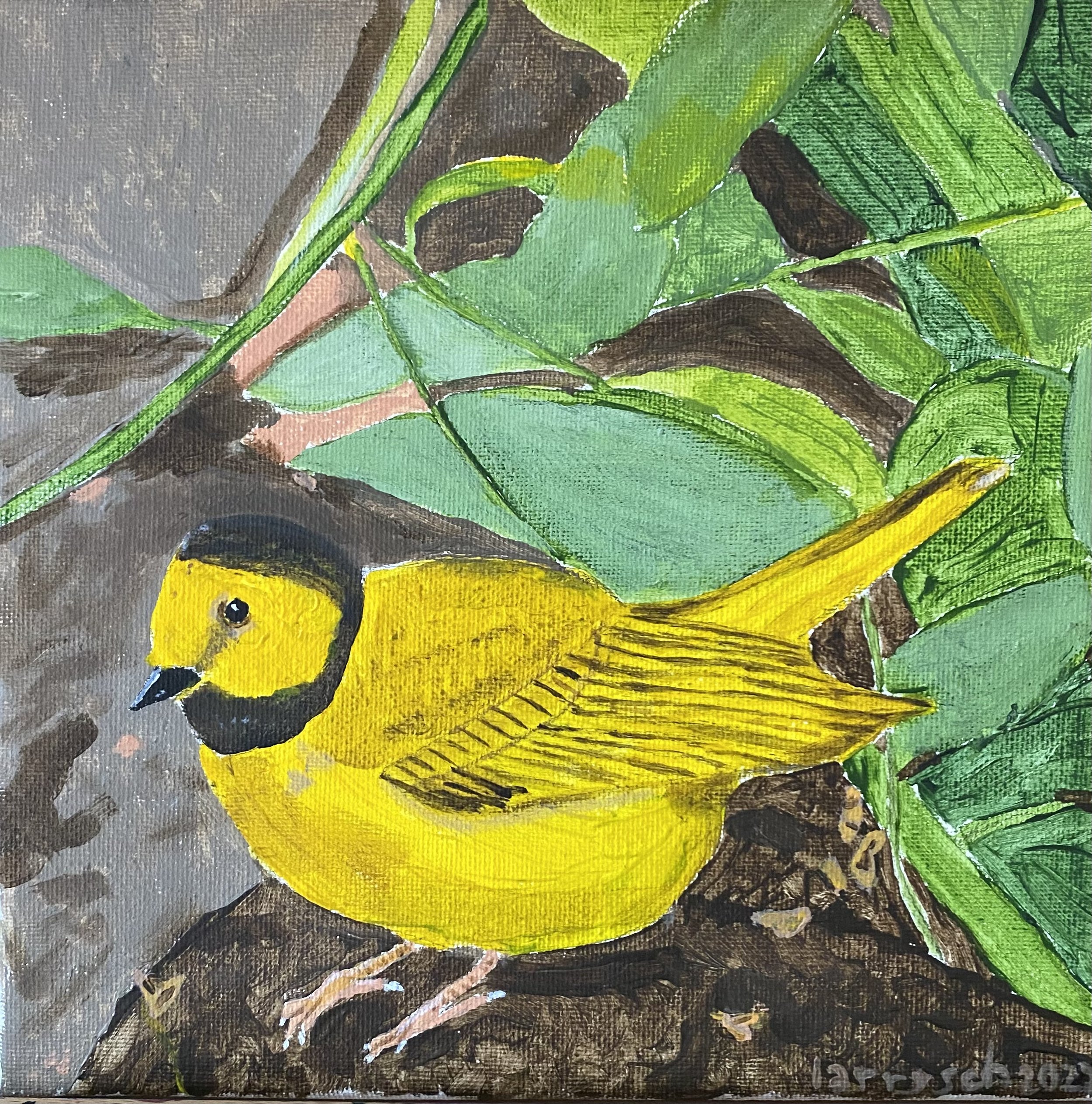 Yellow Bird