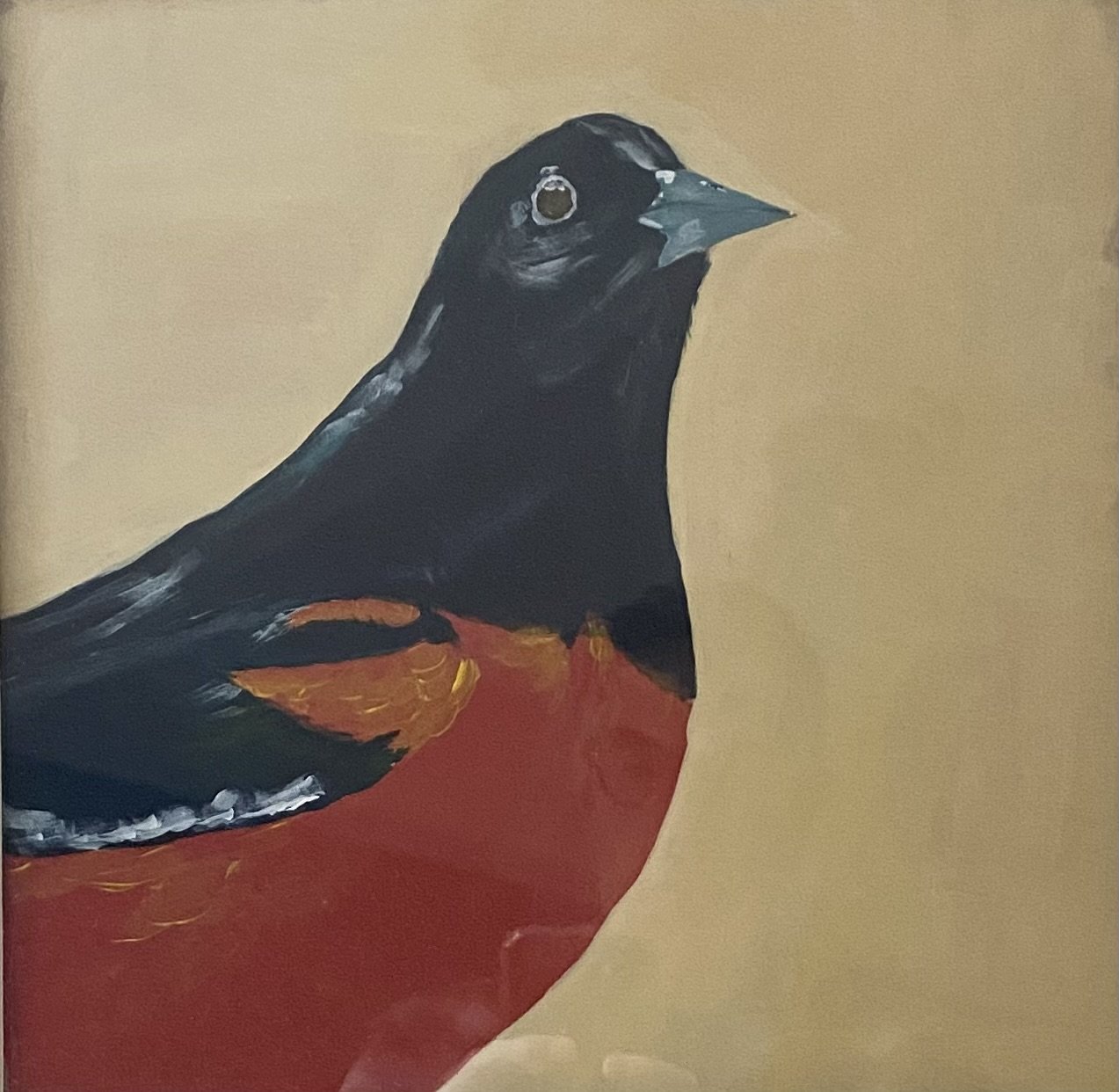 Robin