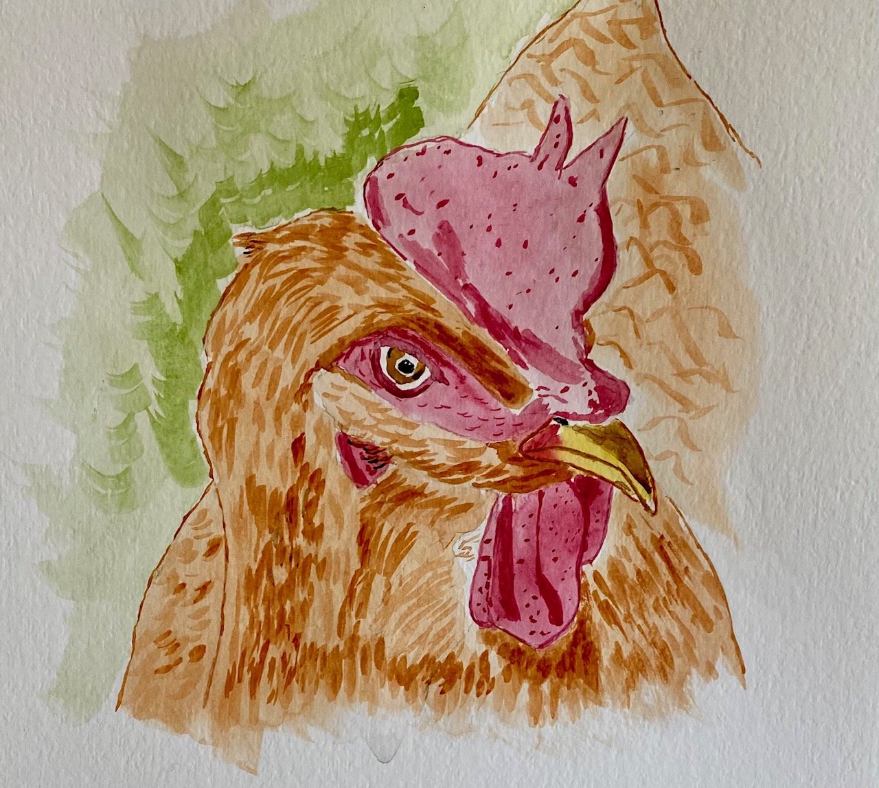 Rooster