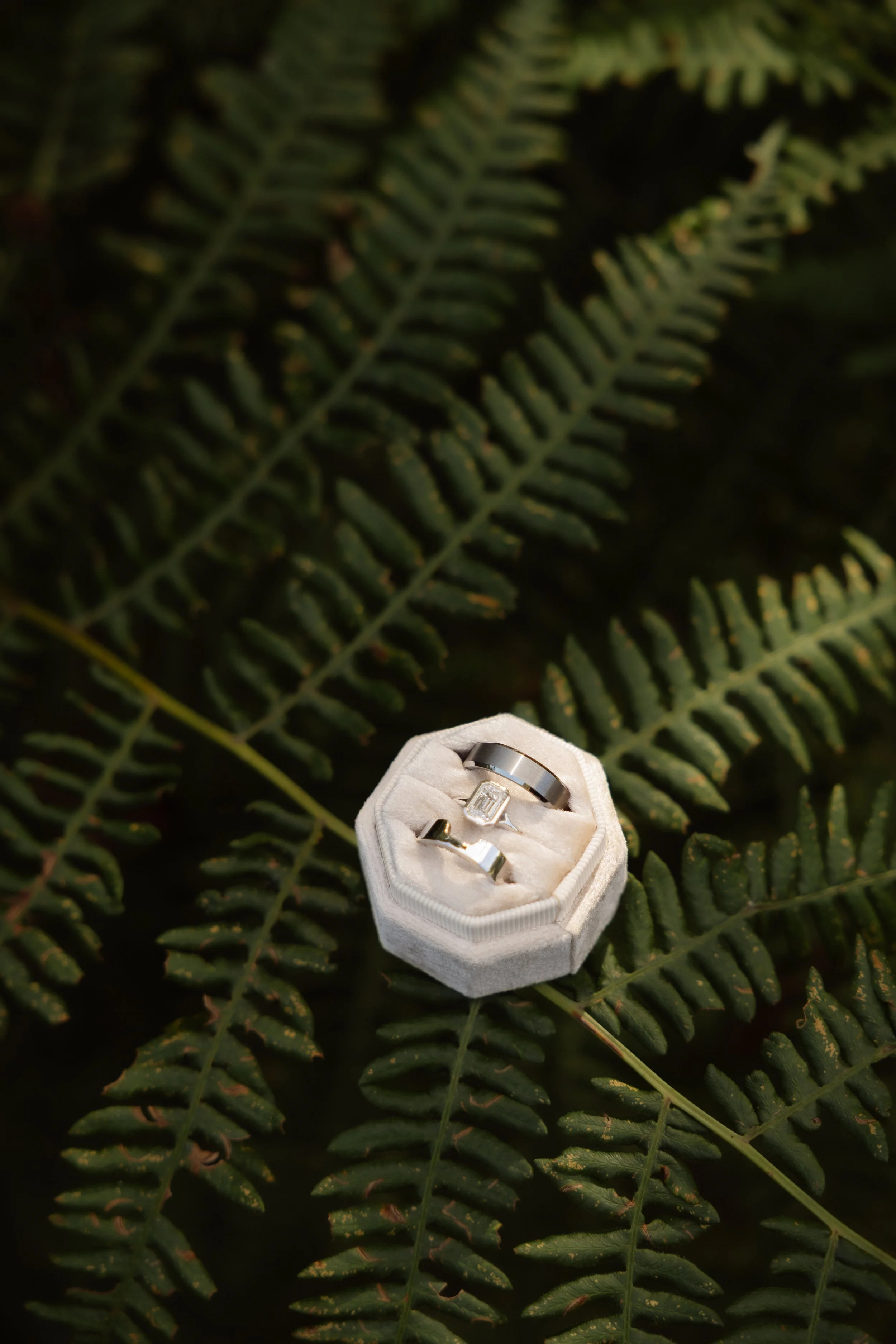 CWALTERSPHOTO -011.jpg