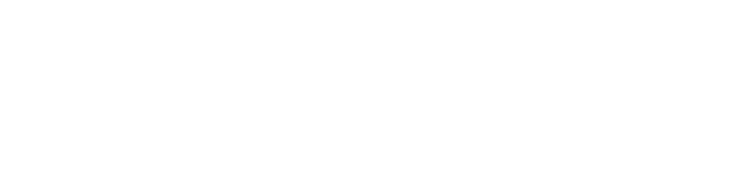 Bridge Accounting