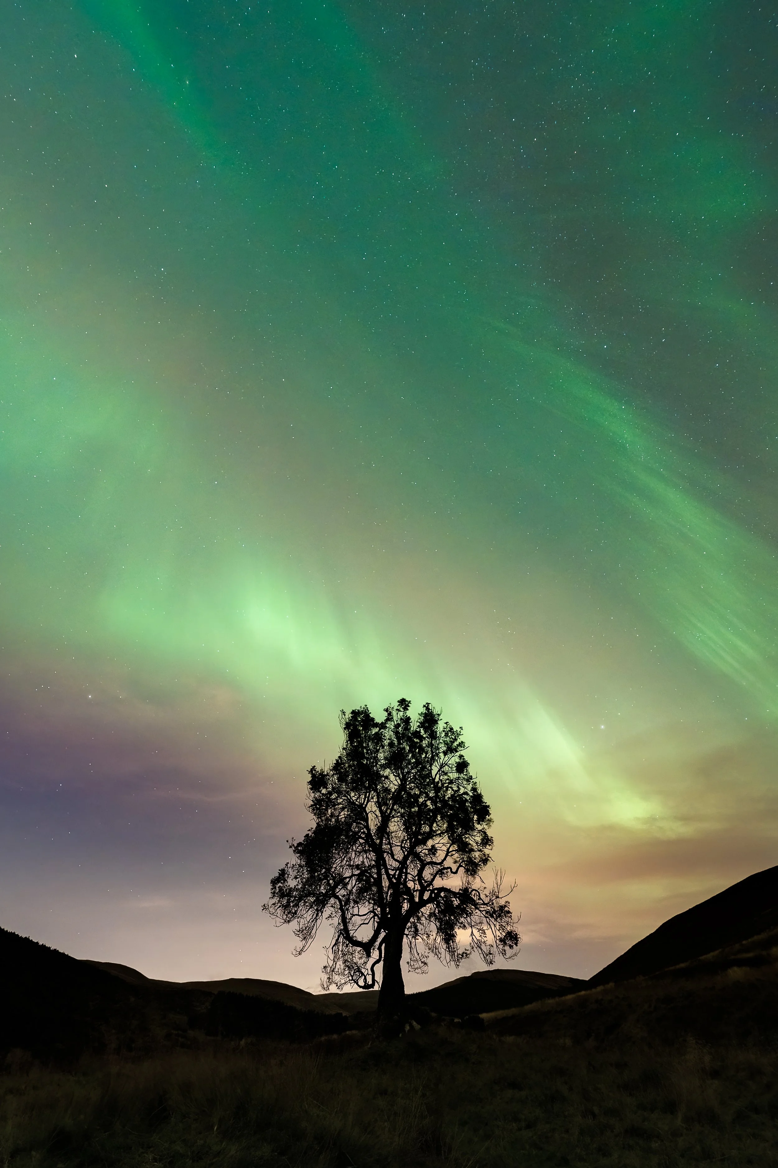 Nightscapes