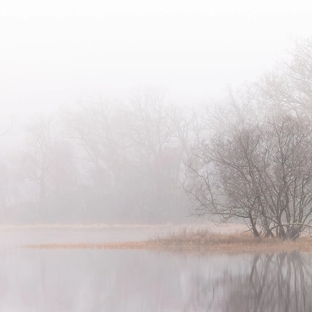 LOCH_CHON_IMG_5696.jpg
