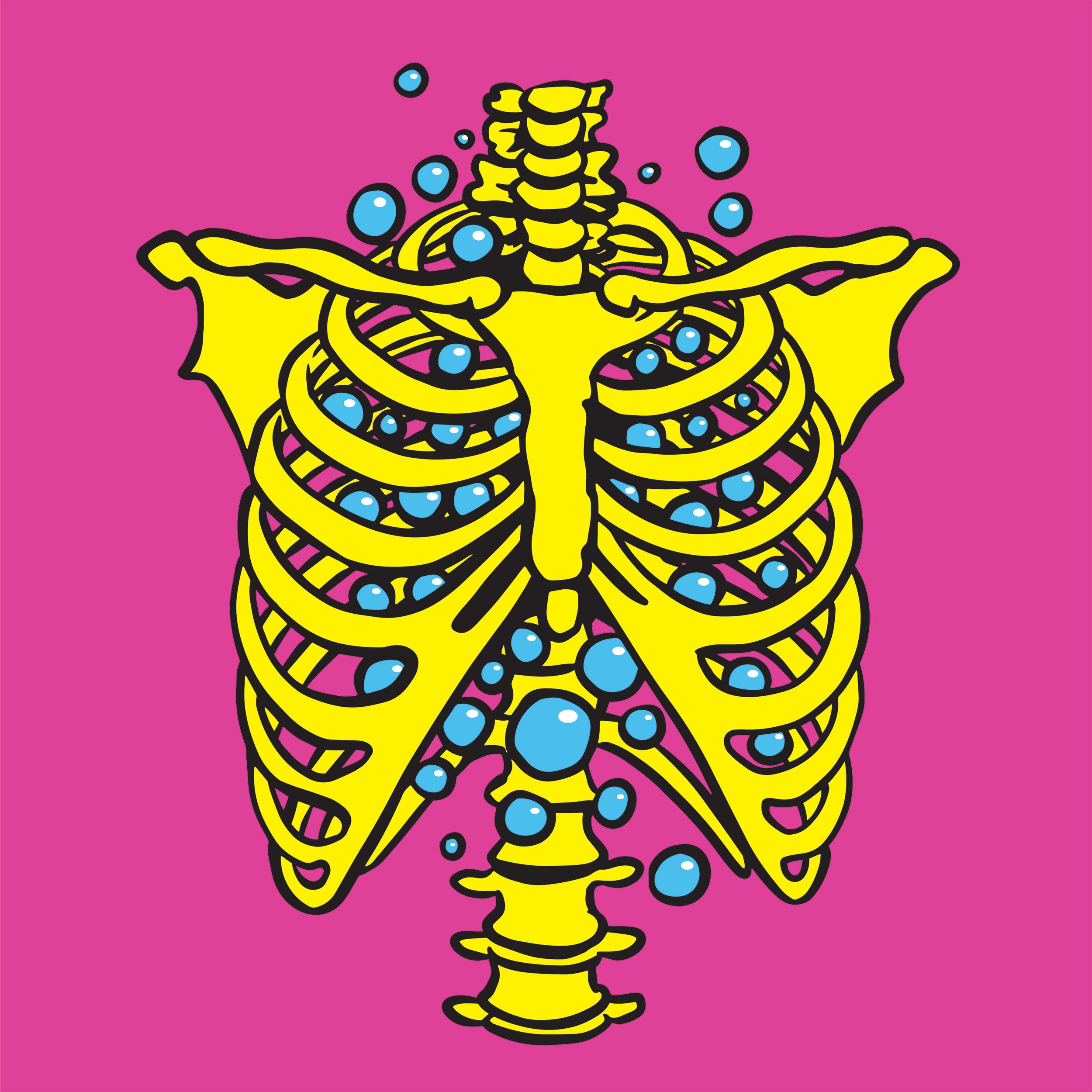 Skeleton Cover Art.jpg