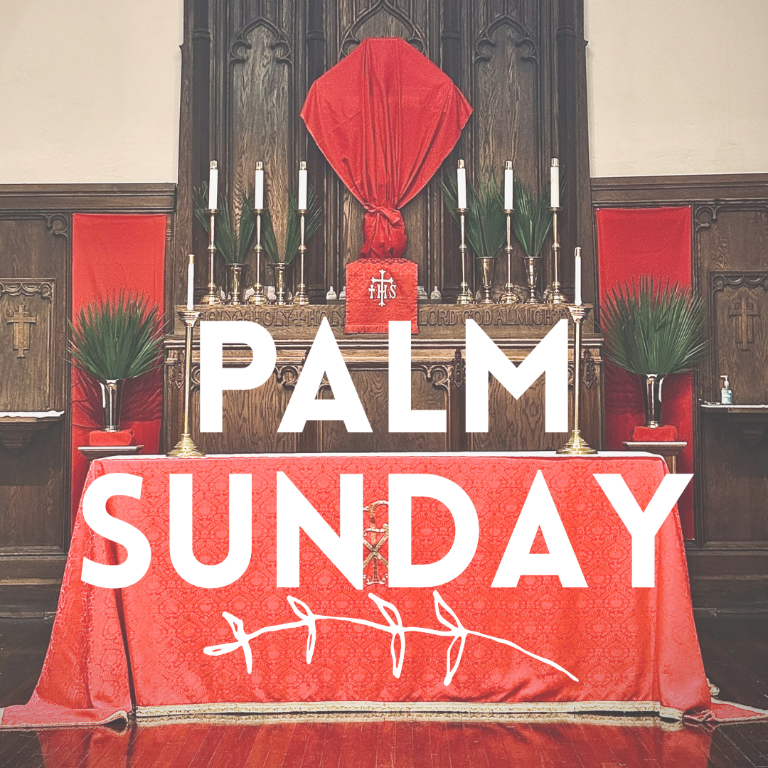 The Sunday of the Passion: Palm Sunday
