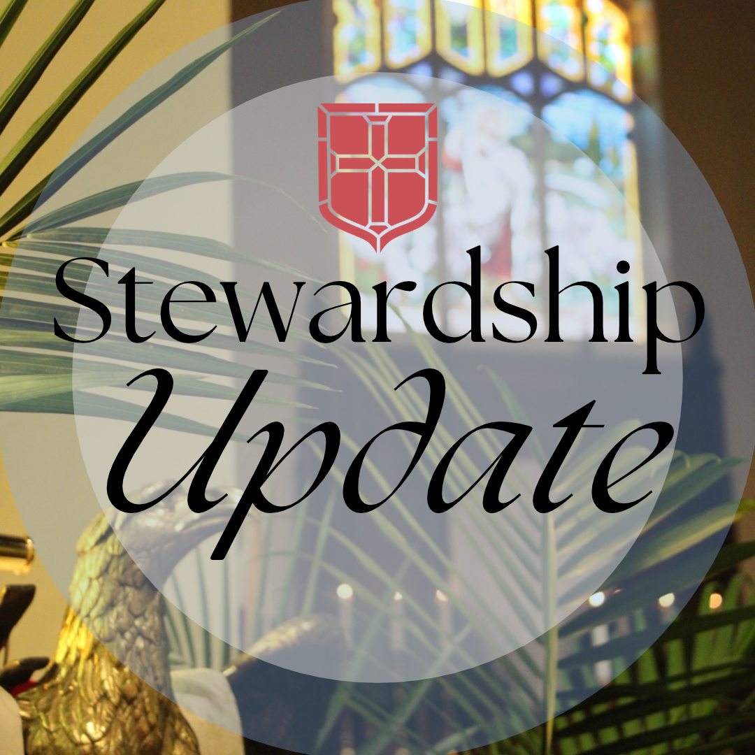 Stewardship Update