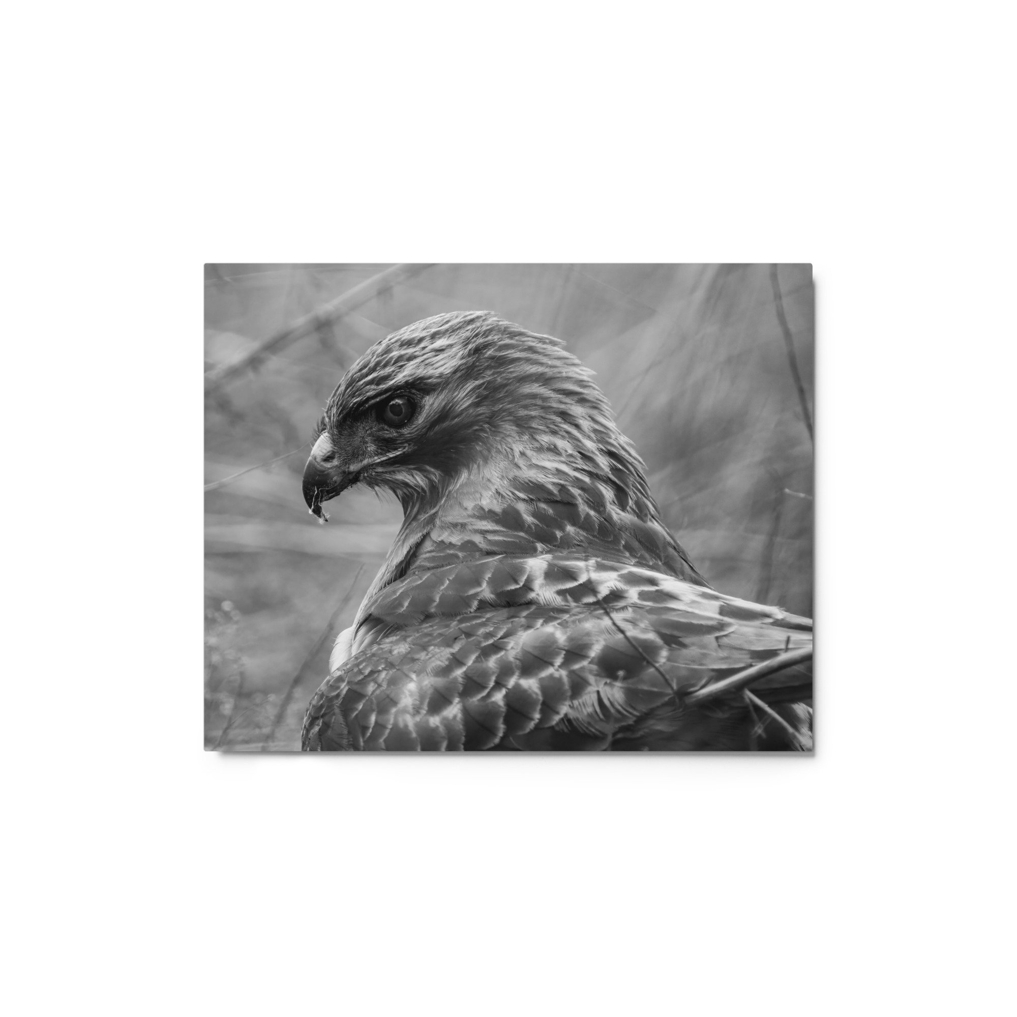 glossy-metal-print-(in)-white-8x10-front-649d8b5c81c37.jpg