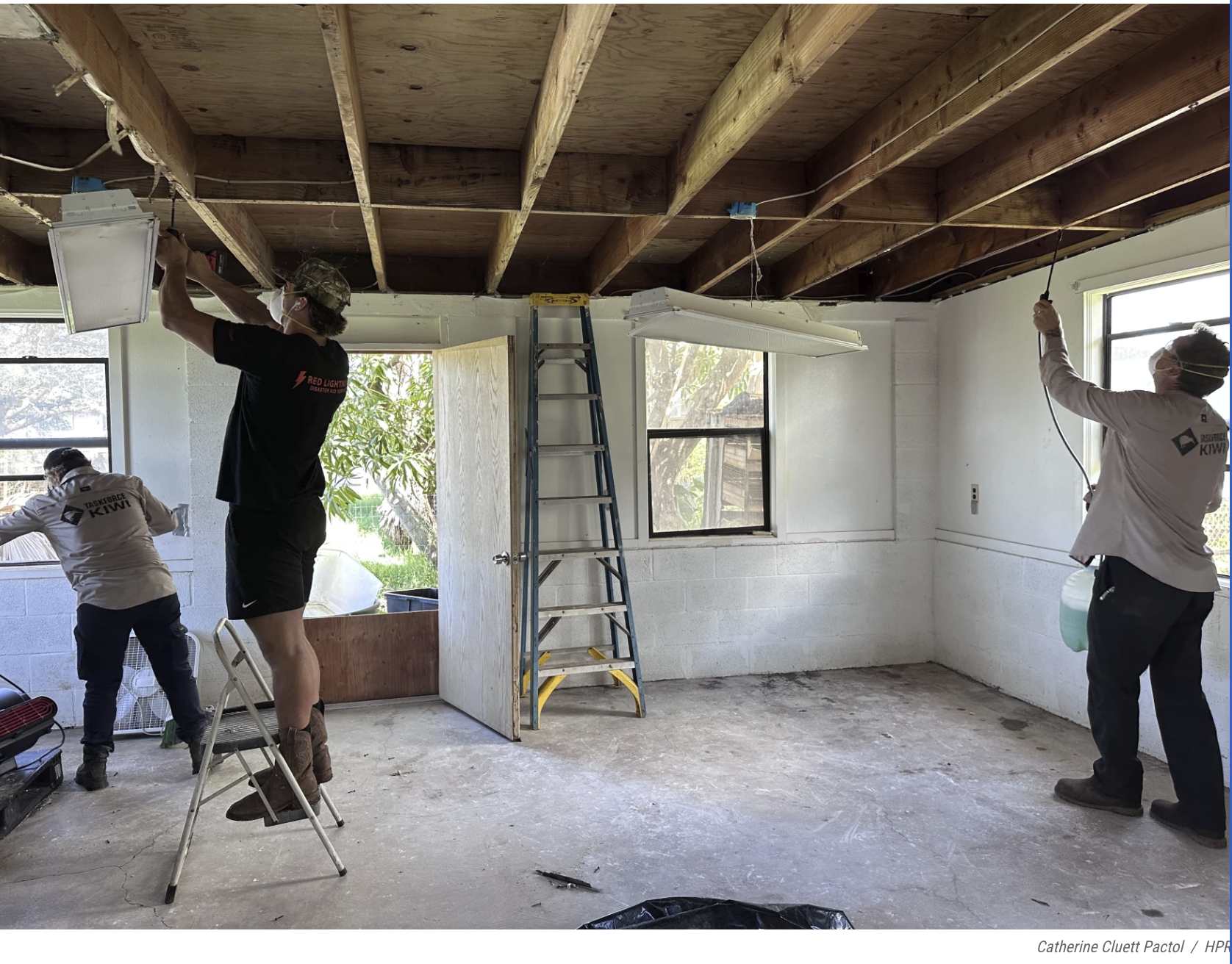 Hawaii Public Radio Reports on Our Mold Remediation Work — Read the Full Story
