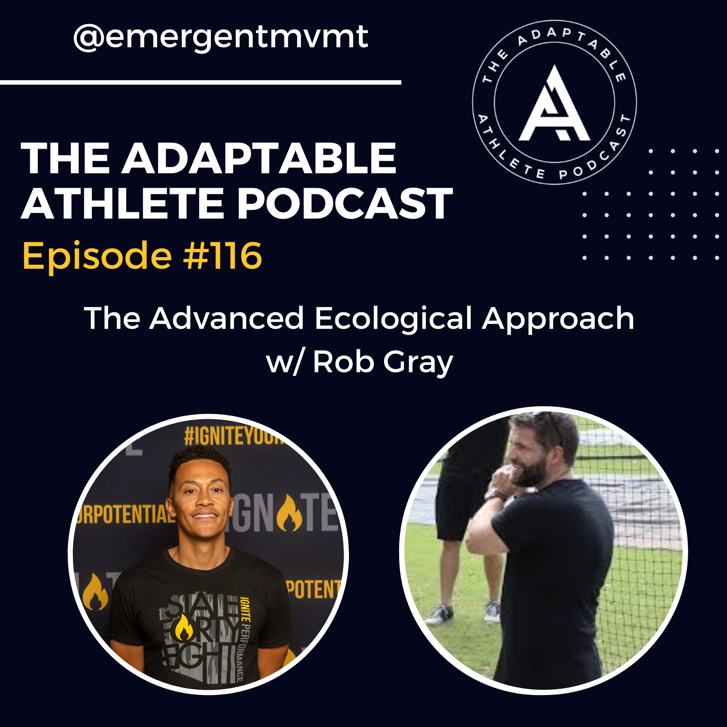 Ep 116 -The Advanced Ecological Approach w/ Rob Gray