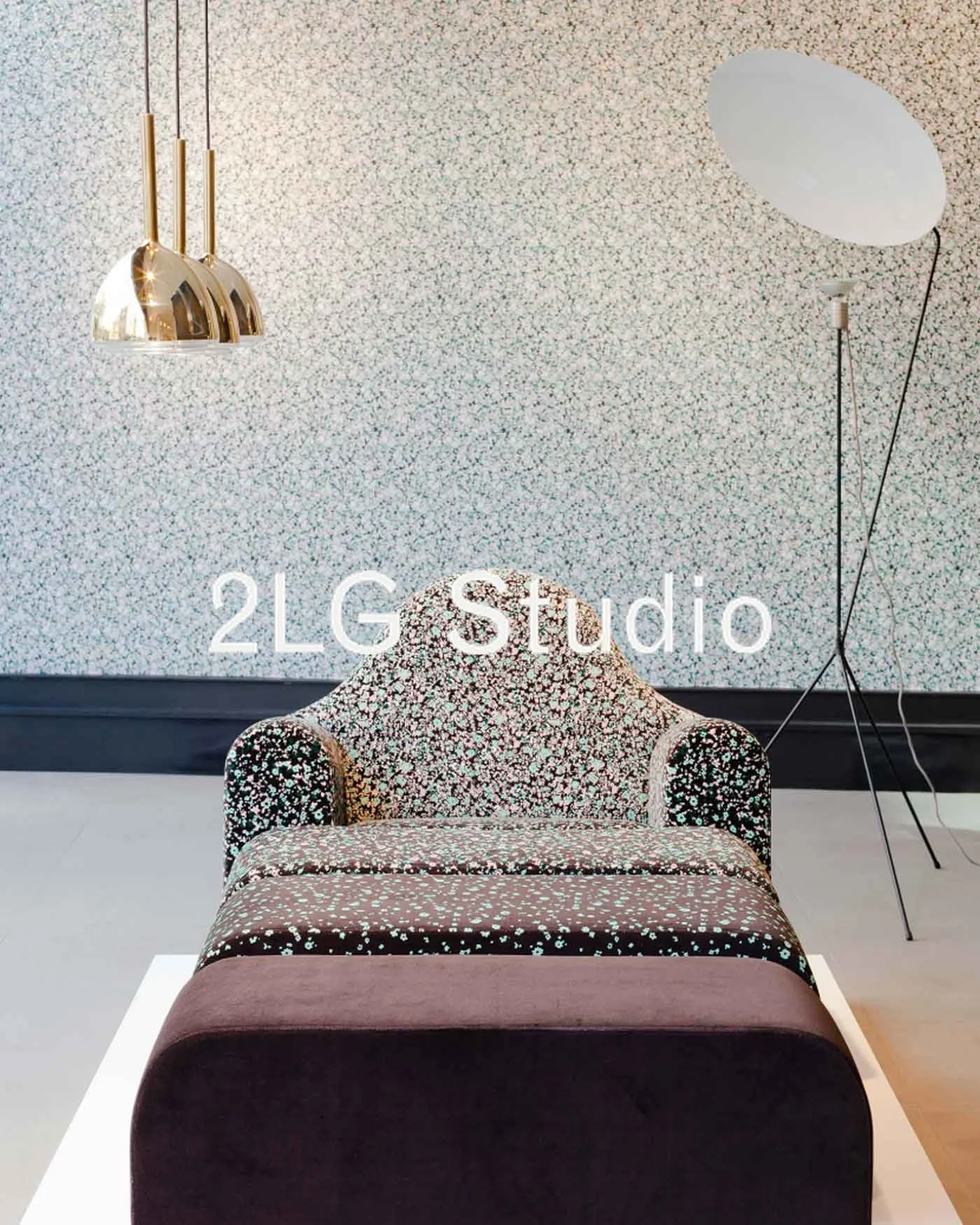 2LG.jpg