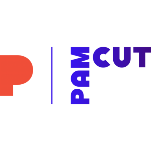 cropped-favicon-PAM-CUT-blog.png
