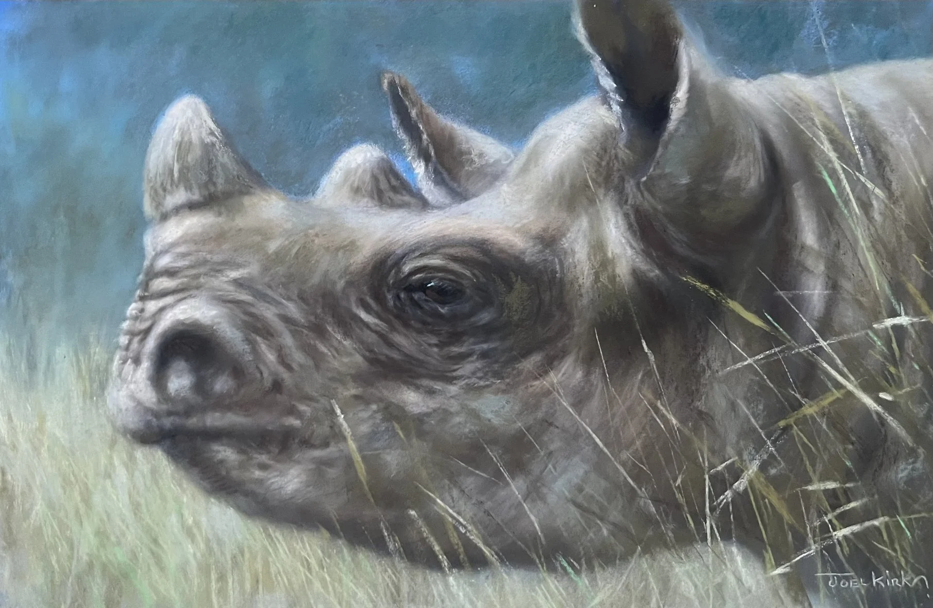 Rhino