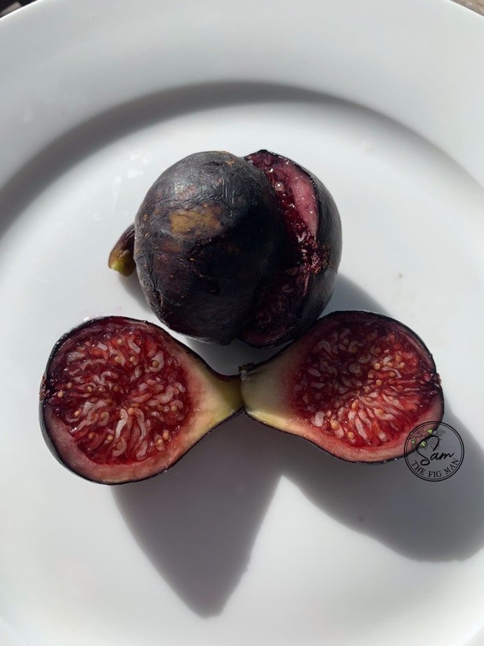 BlackTuscan_5.jpeg