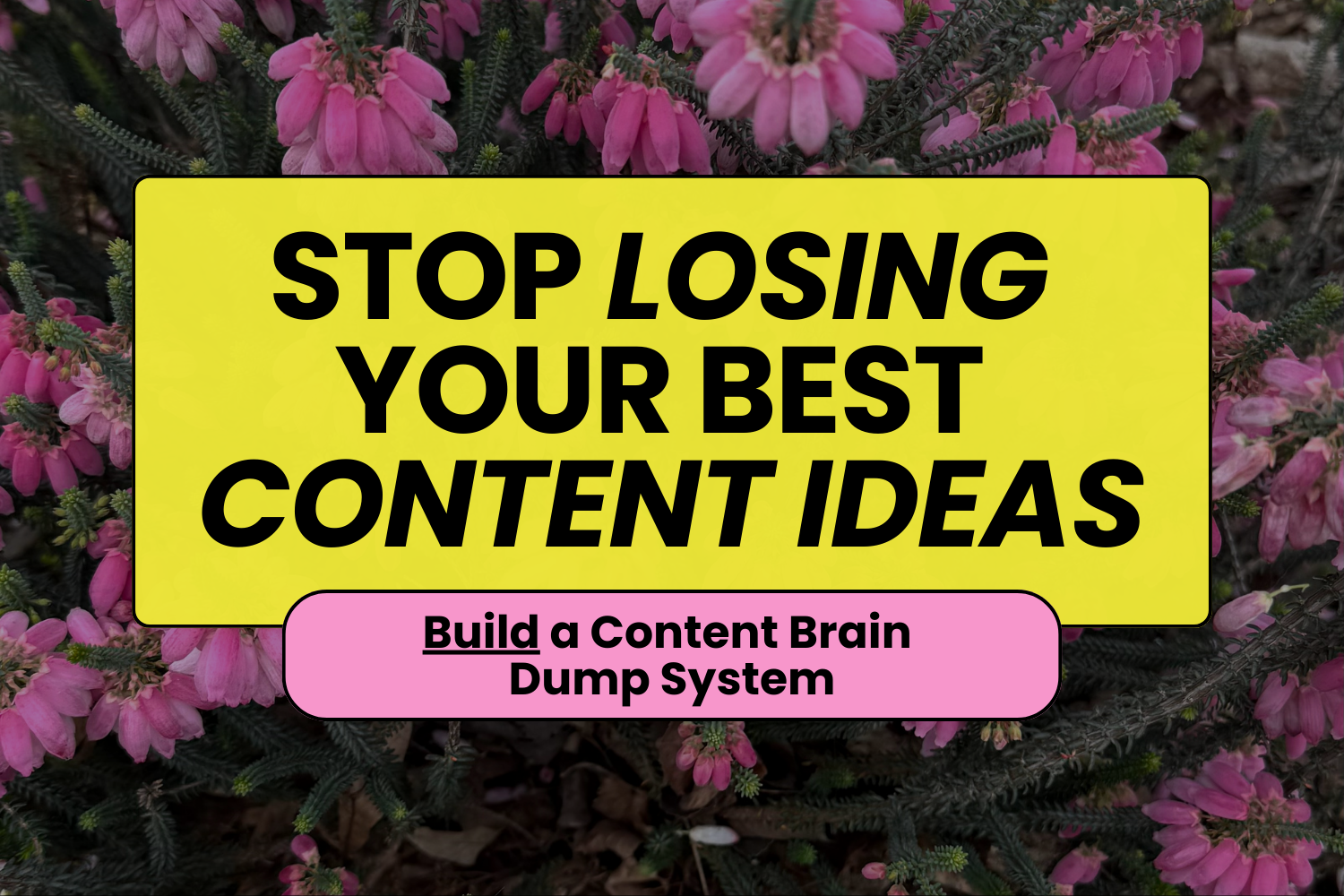Stop Losing Your Best Content Ideas: build a content brain dump system