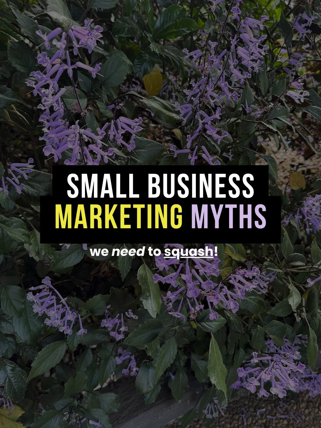 Common mistake: thinking social media is easy.

It's not. And if it's been draining you, that makes complete sense.

Here are three marketing myths I'll never tell a small business owner:

Myth 1 - "Social media is easy"
It's time consuming
