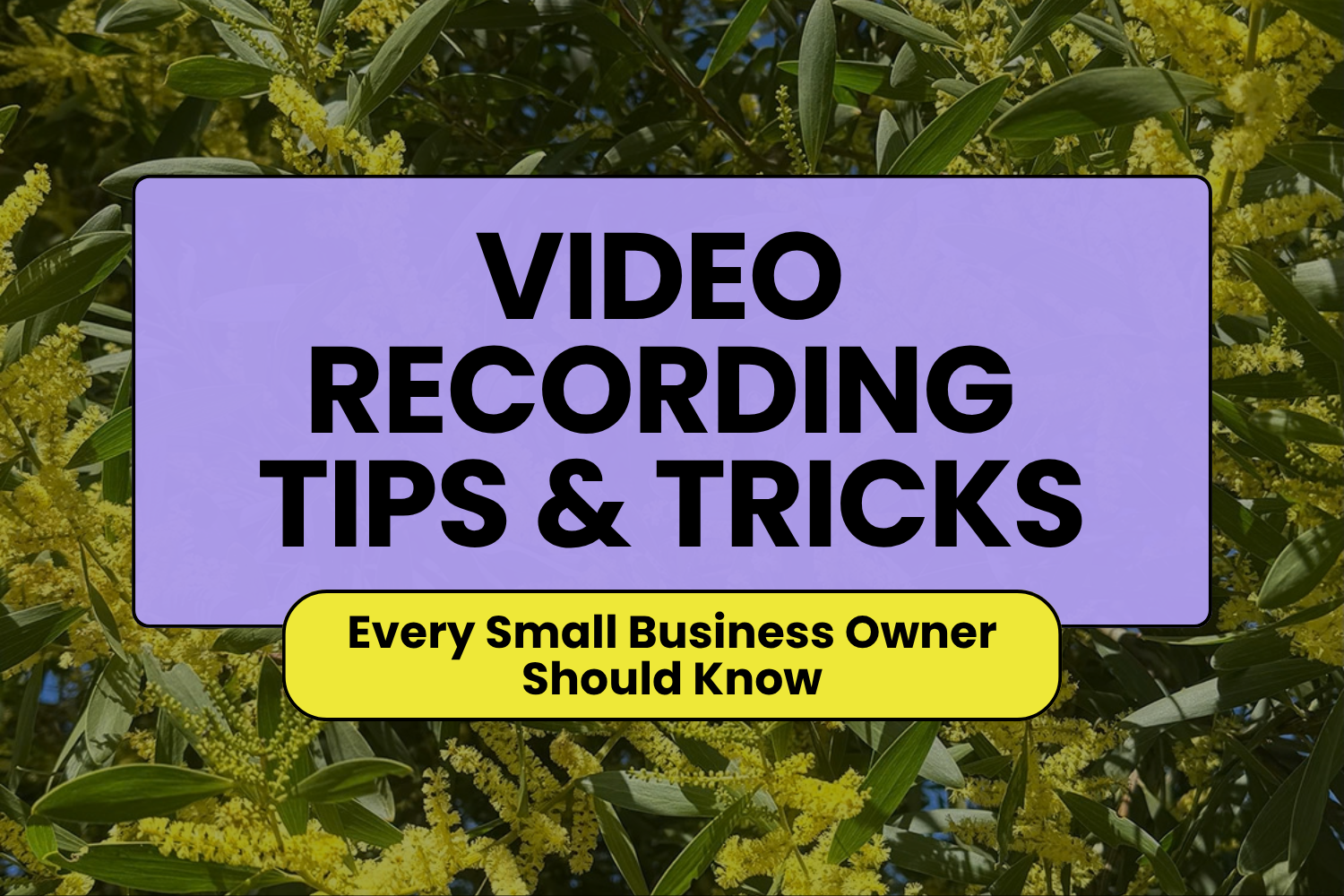 Video Recording Tips Every Small Business Owner Should Know