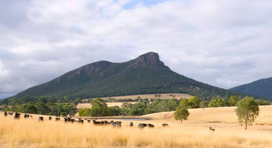 Mt Sturgeon - Dunkeld, Australia.
