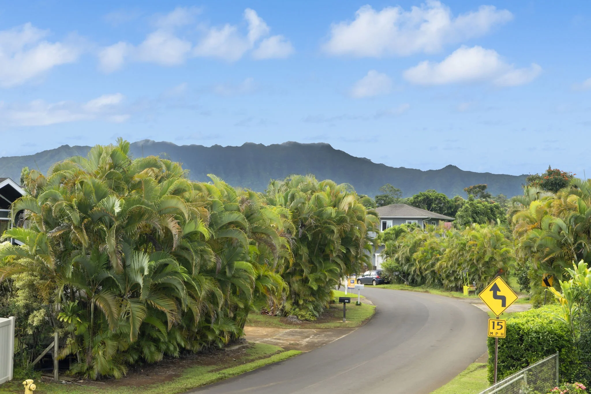 28-web-or-mls-CT103407 copy.jpg