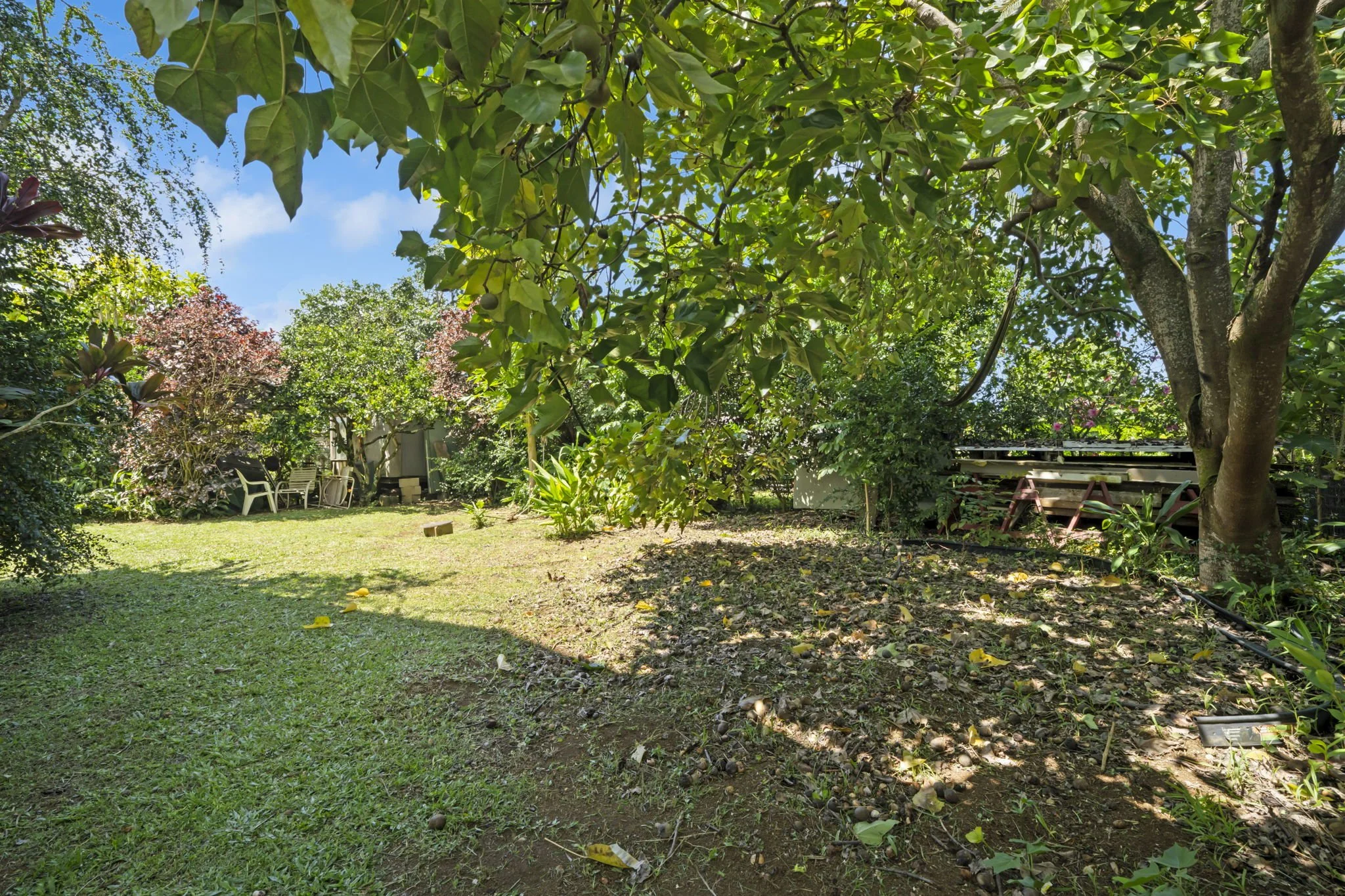 24-web-or-mls-CT103704 copy.jpg