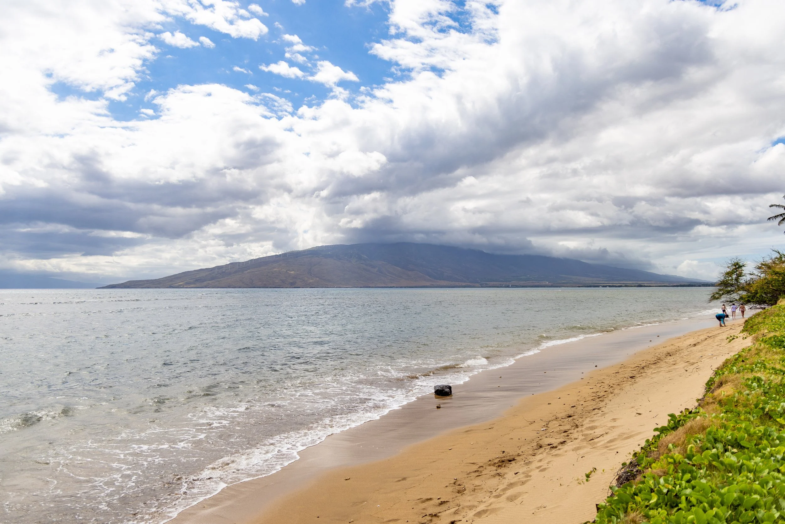island_eye_-43.jpg