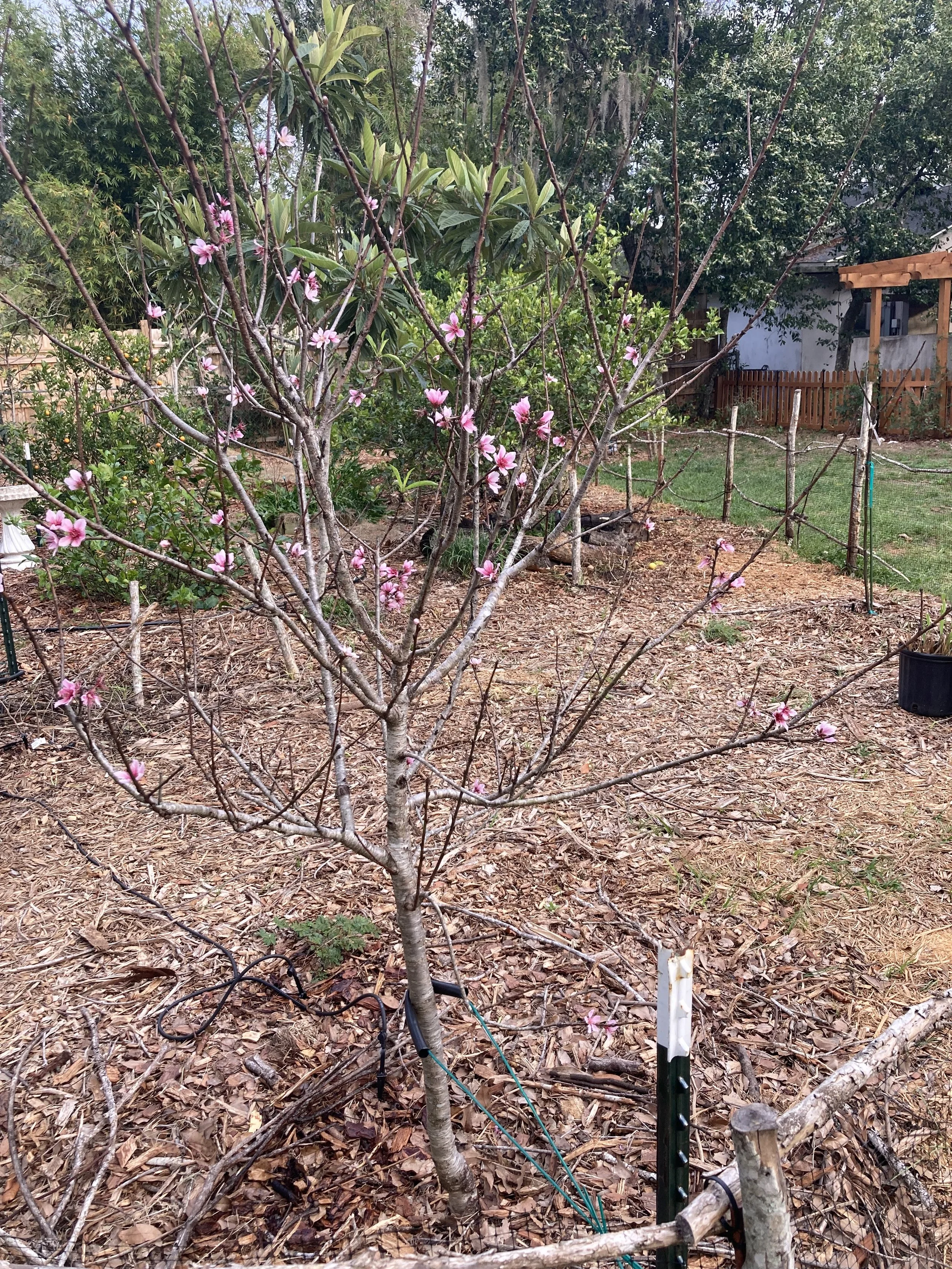 Make Room for Growth