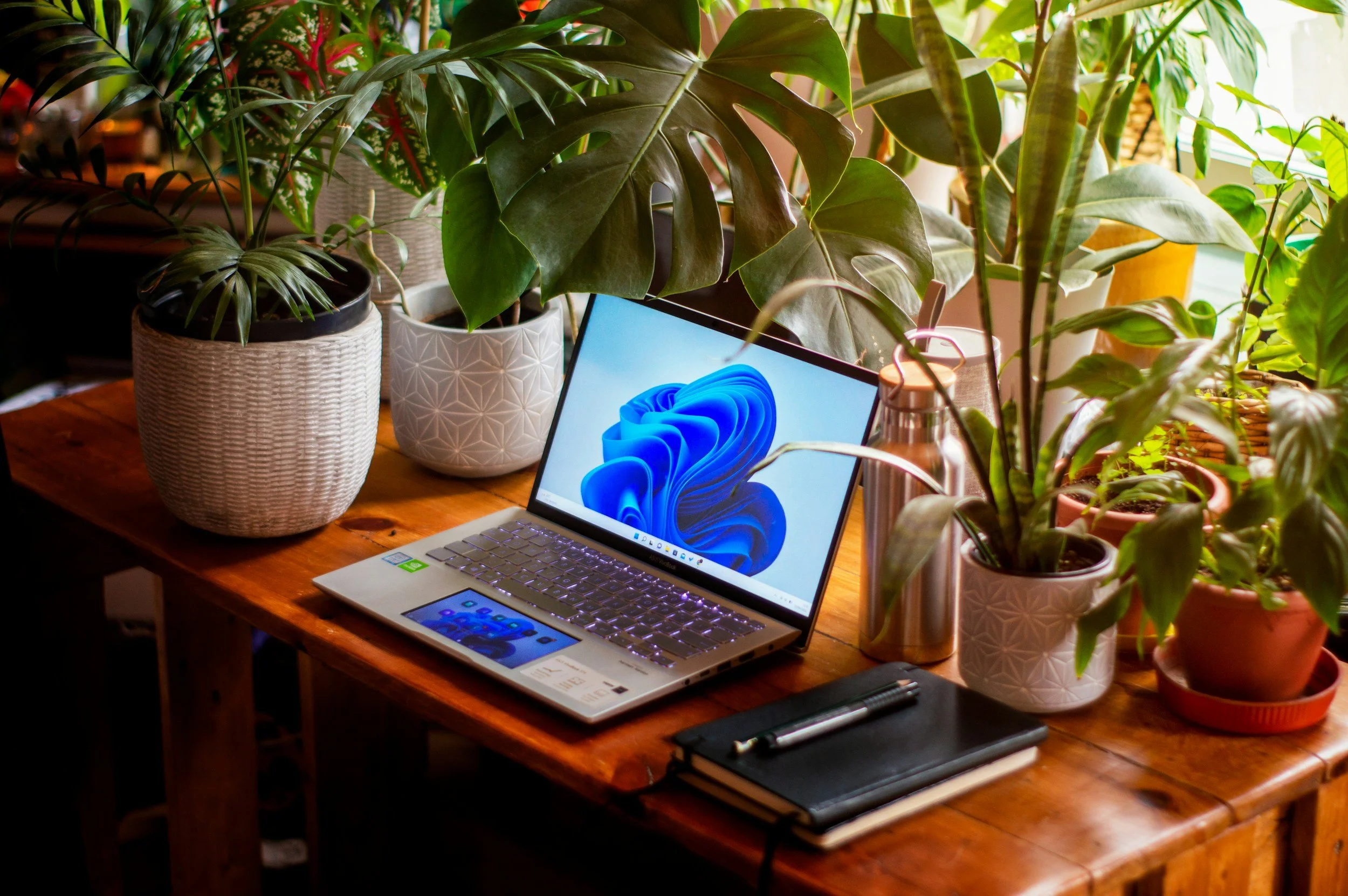 A wooden desk with a silver laptop displaying a blue abstract wallpaper, surrounded by potted green plants, notebooks, a pen, and a stainless steel water bottle, with natural light coming through a nearby window.