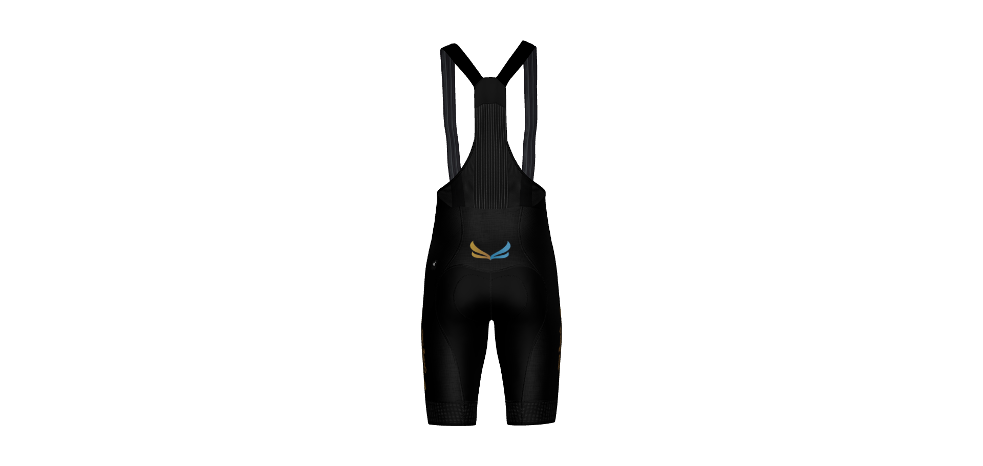 captura (12).png