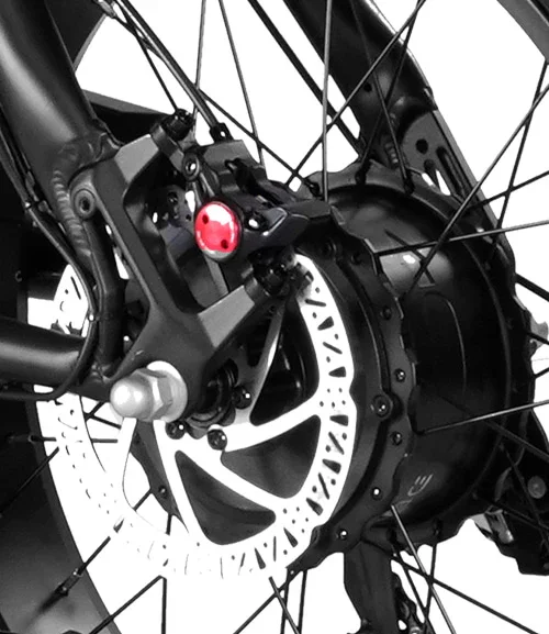PGEL-RAPTMB-20_Motor.webp