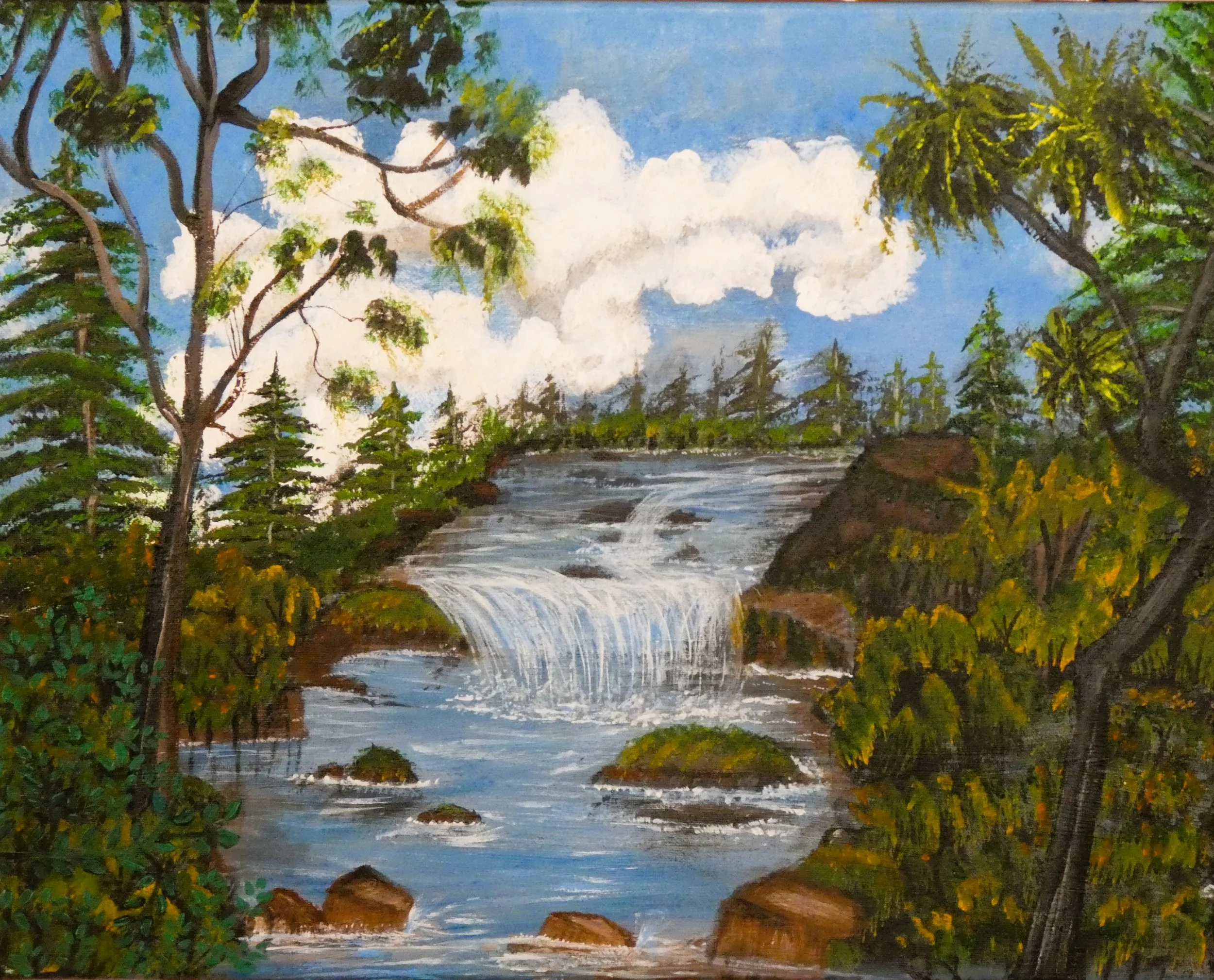 Wooded Stream.JPG