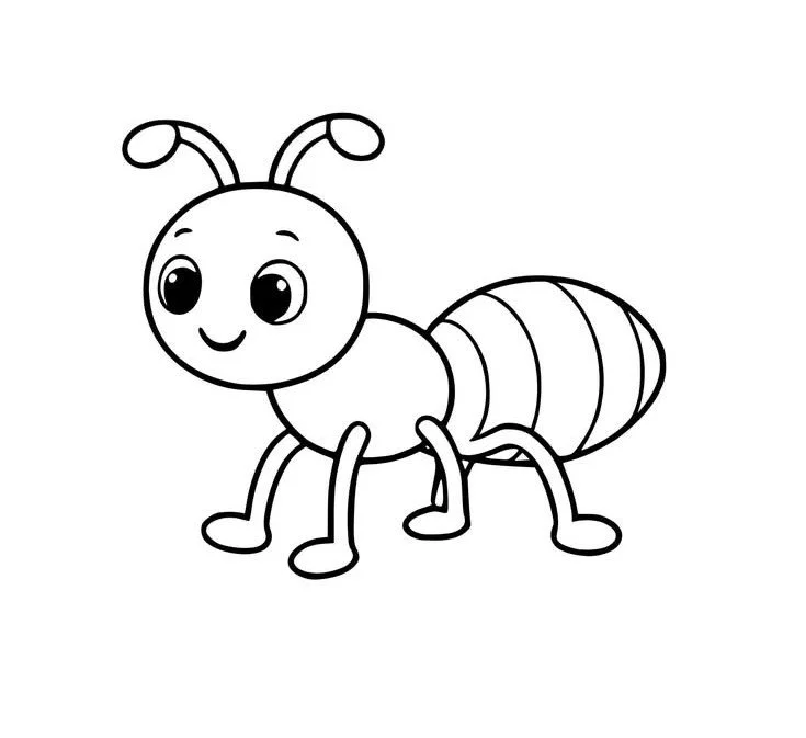 Ant