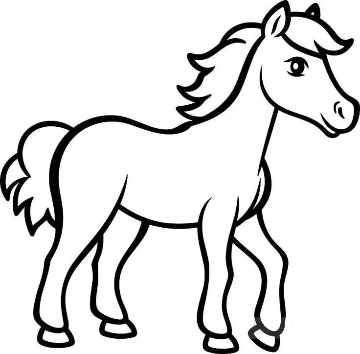 Horse