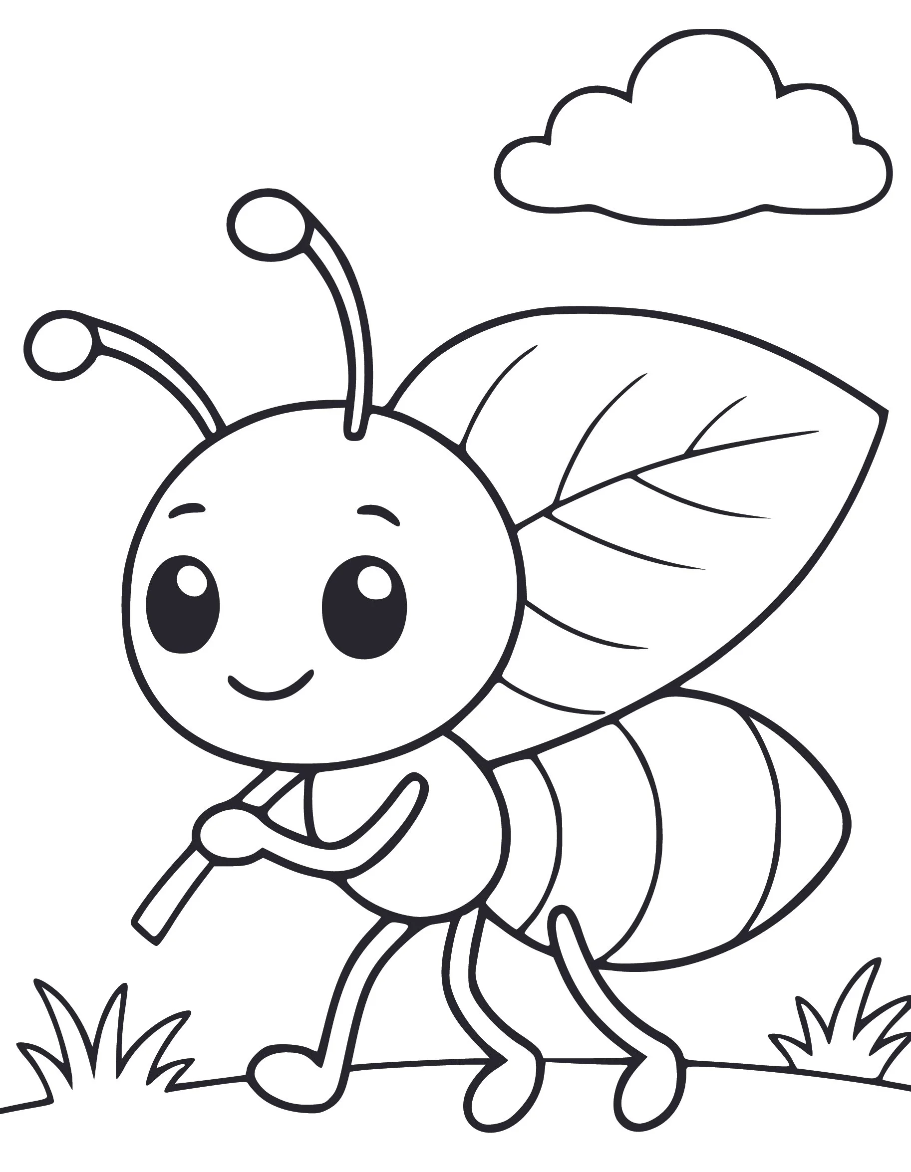 Ant 2