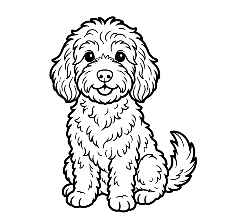 Cavoodle
