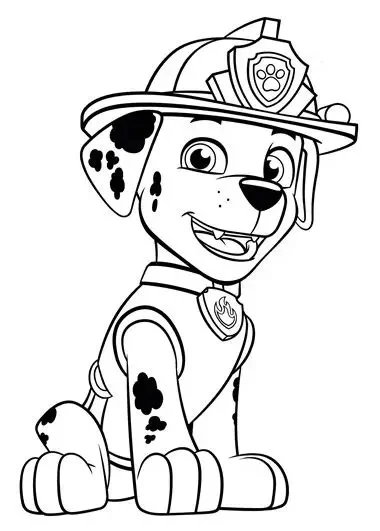 Marshall Paw Patrol