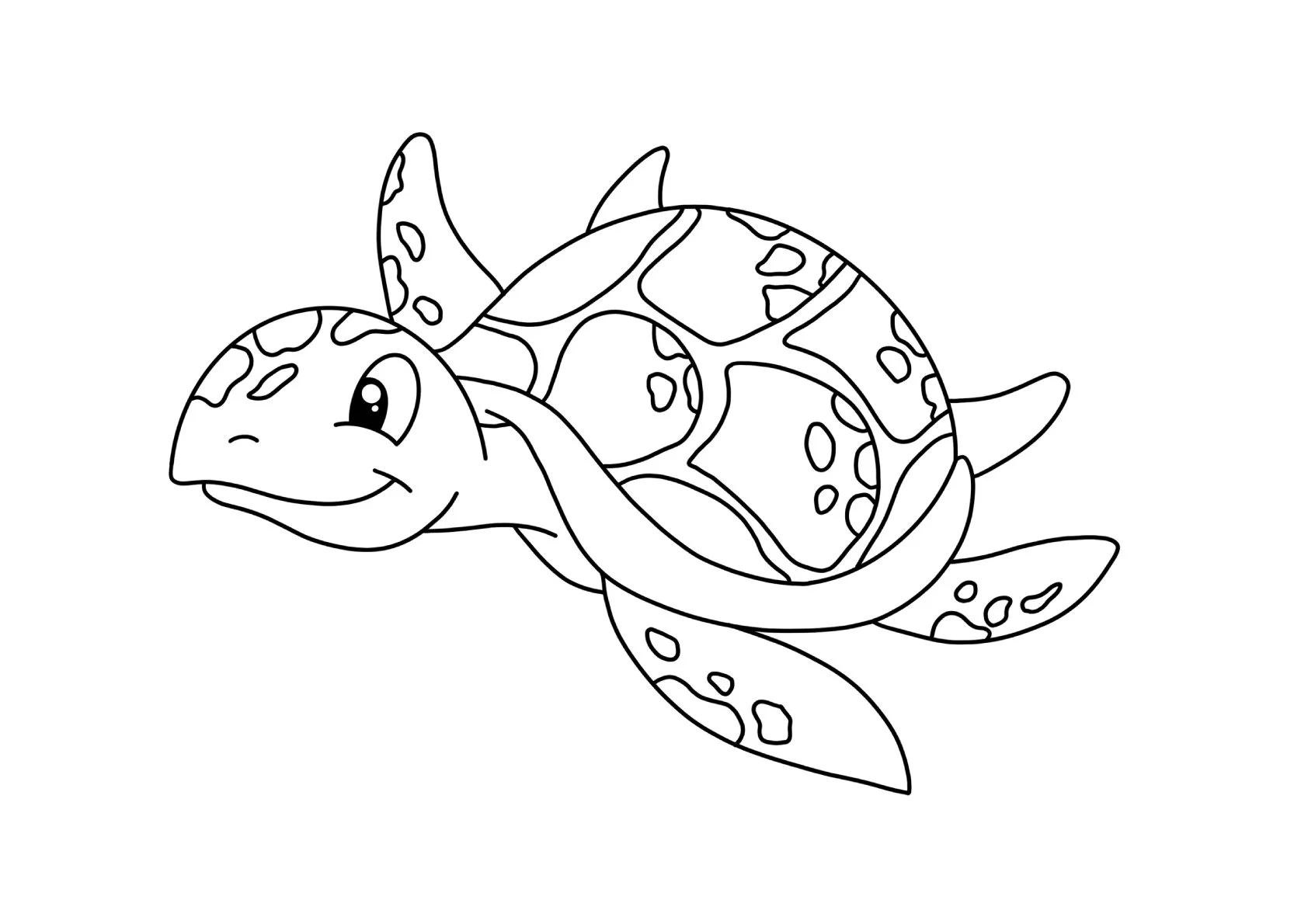 Turtle