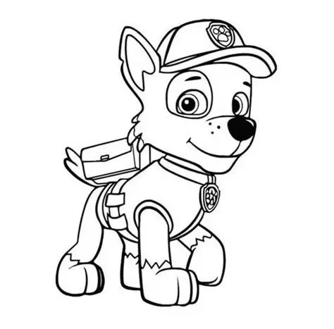 Rocky Paw Patrol