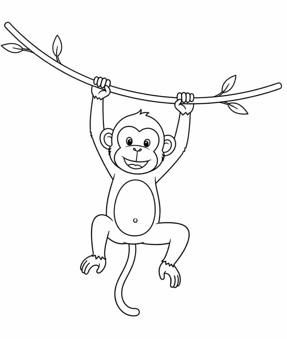 Monkey