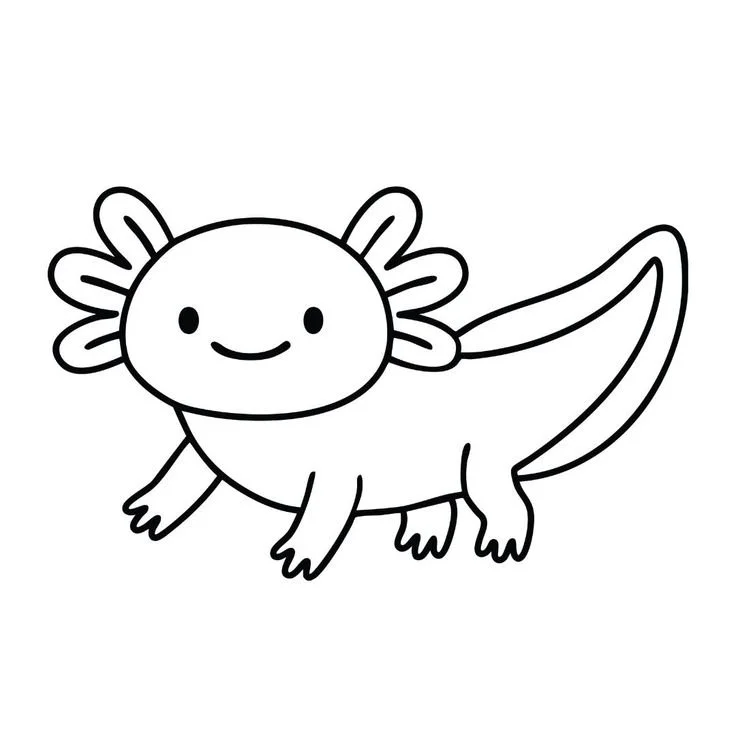 Axolotl