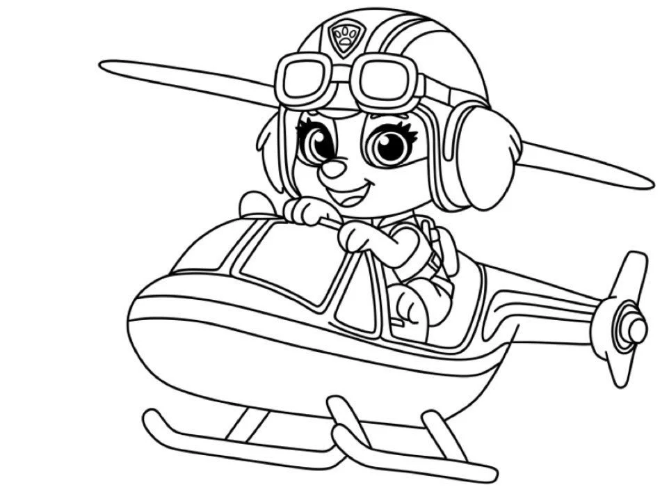 Skye Paw Patrol