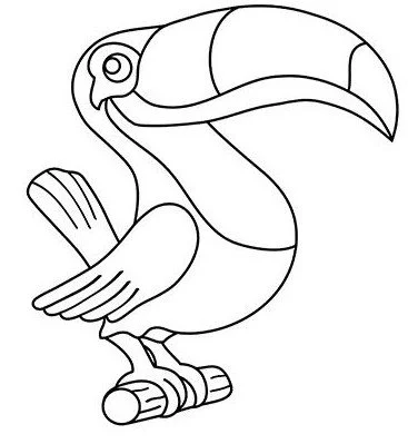 Toucan