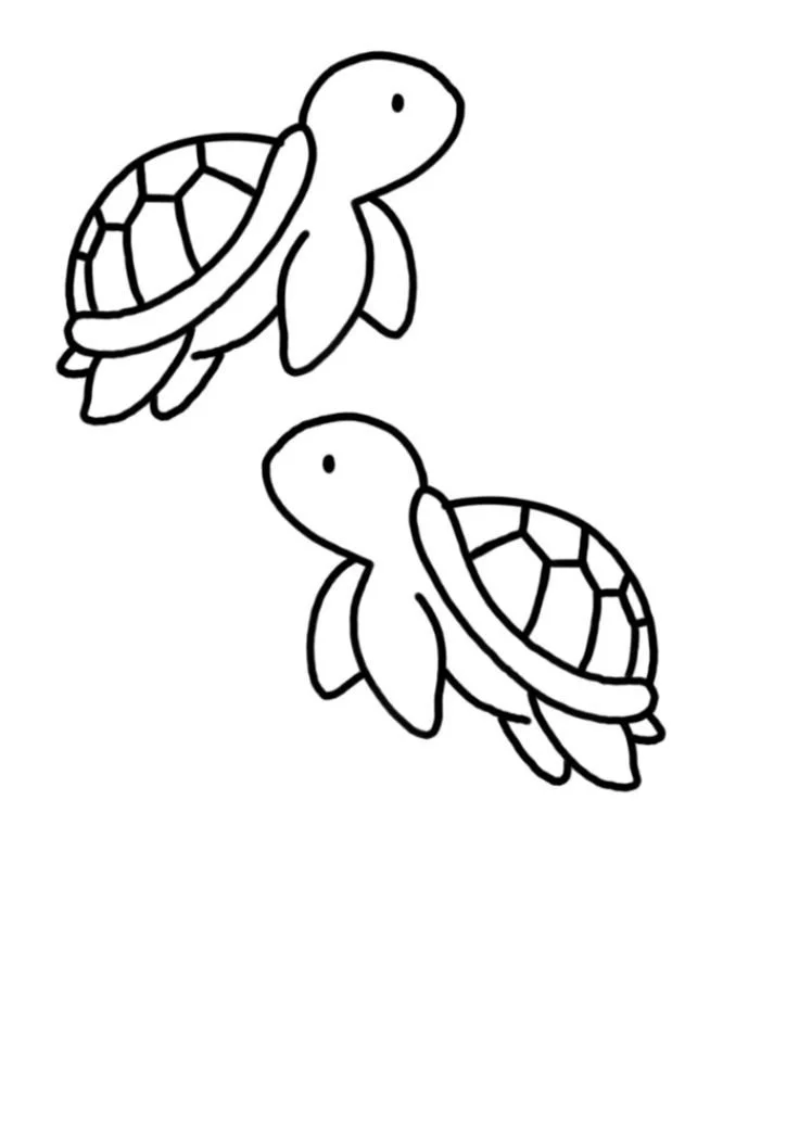 Baby Turtles
