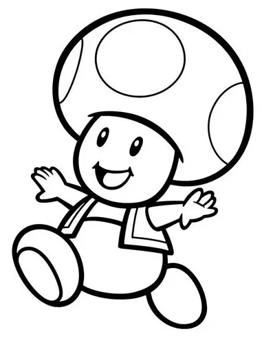 Toad