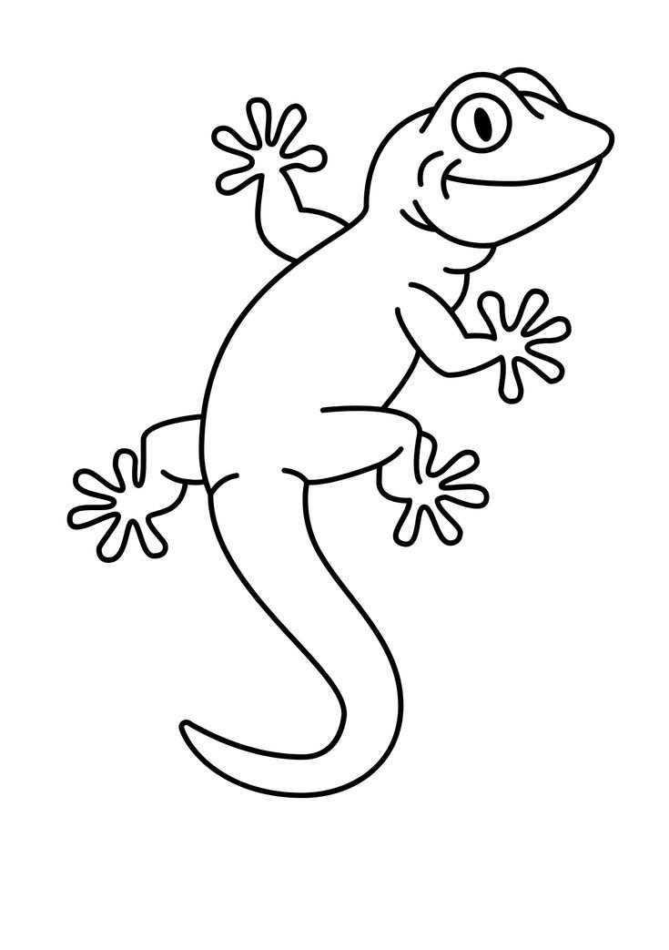 Gecko