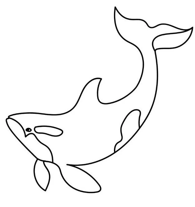 Killer Whale