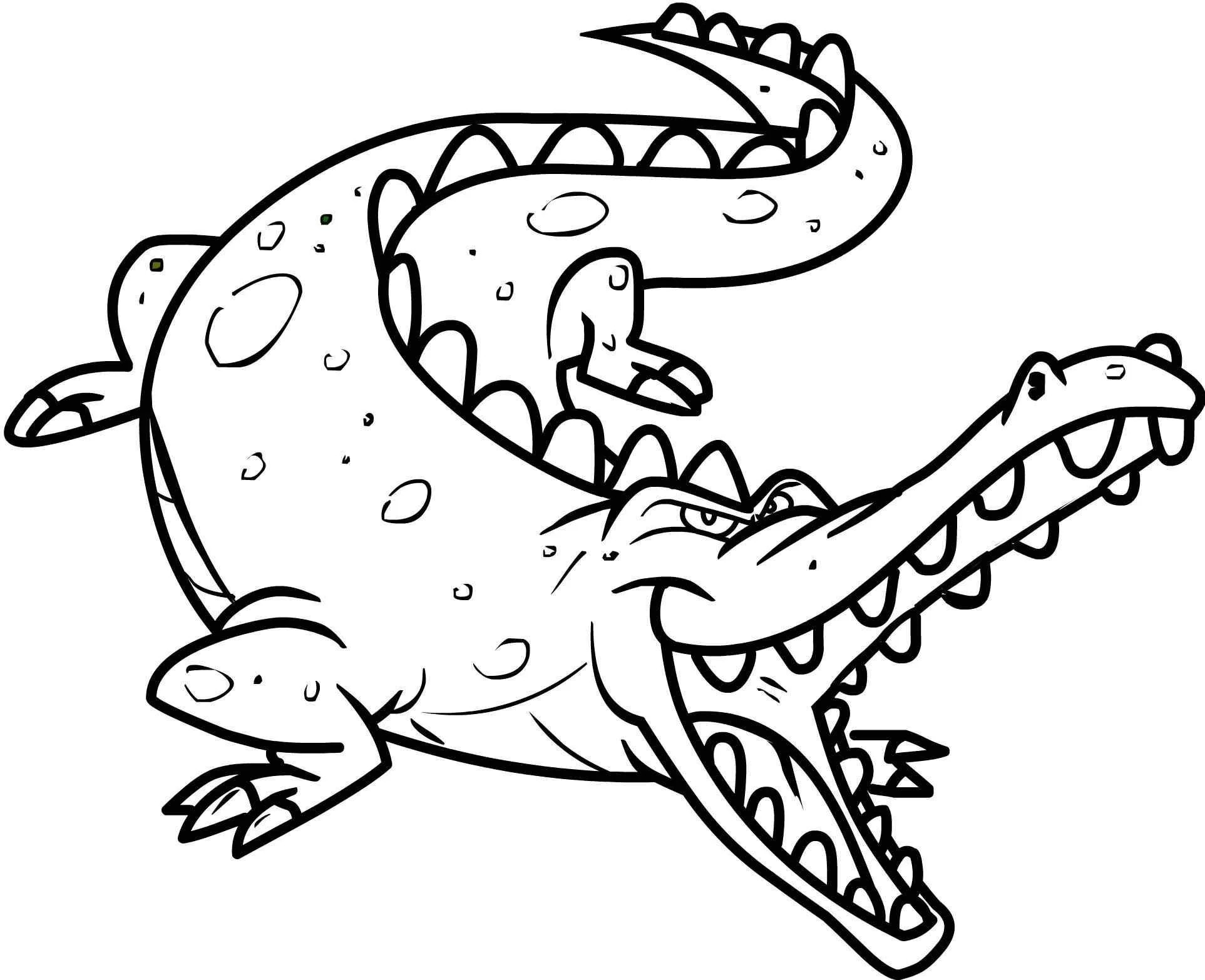 Crocodile