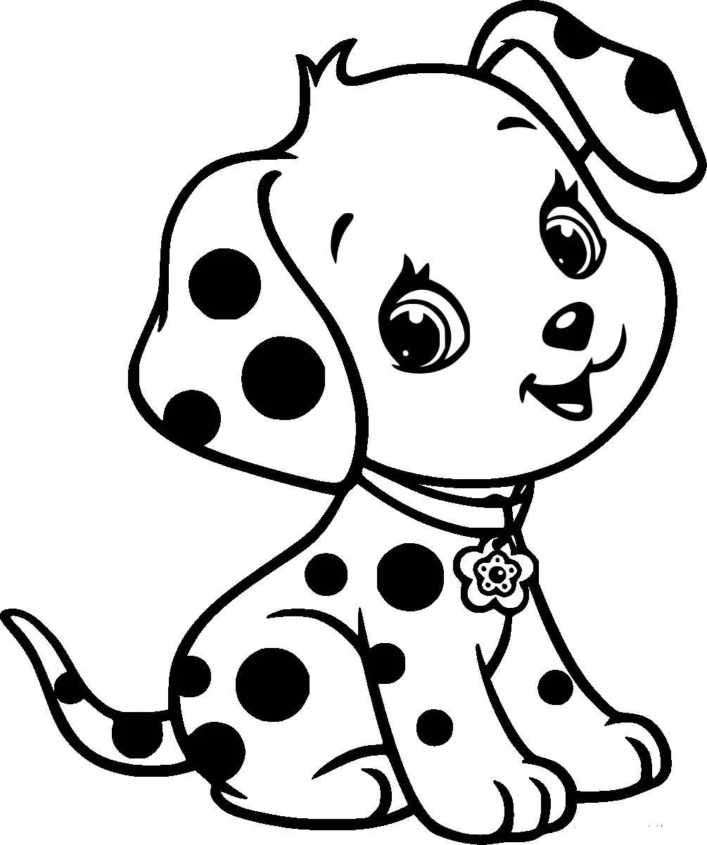 Dalmatian Puppy