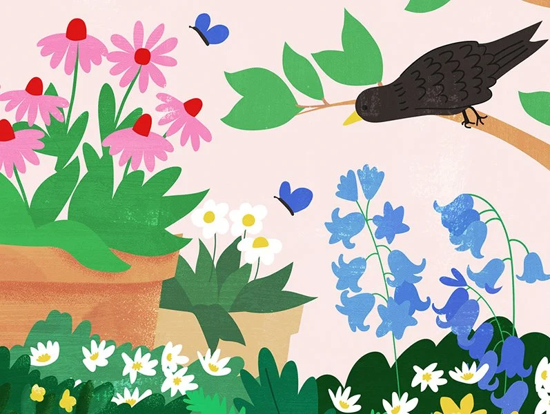 Colorful illustration of pink, white, and blue flowers in pots with a black bird sitting on a branch, surrounded by butterflies and greenery.